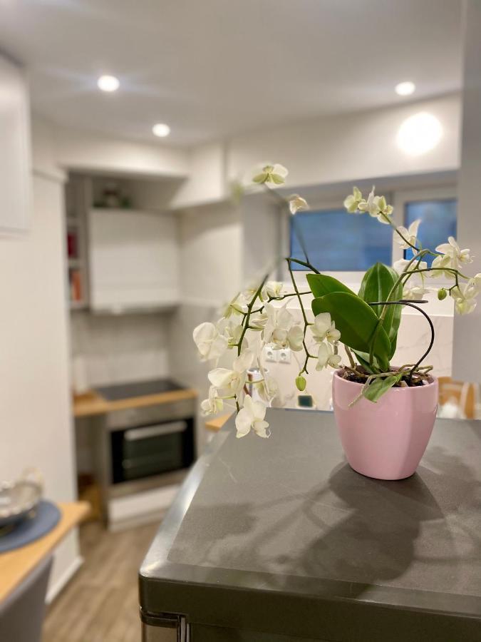 Seaside Comfy Apartment/ Palaio Faliro Αθήνα Εξωτερικό φωτογραφία