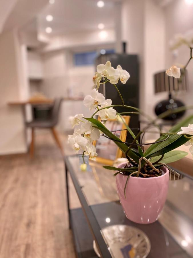 Seaside Comfy Apartment/ Palaio Faliro Αθήνα Εξωτερικό φωτογραφία